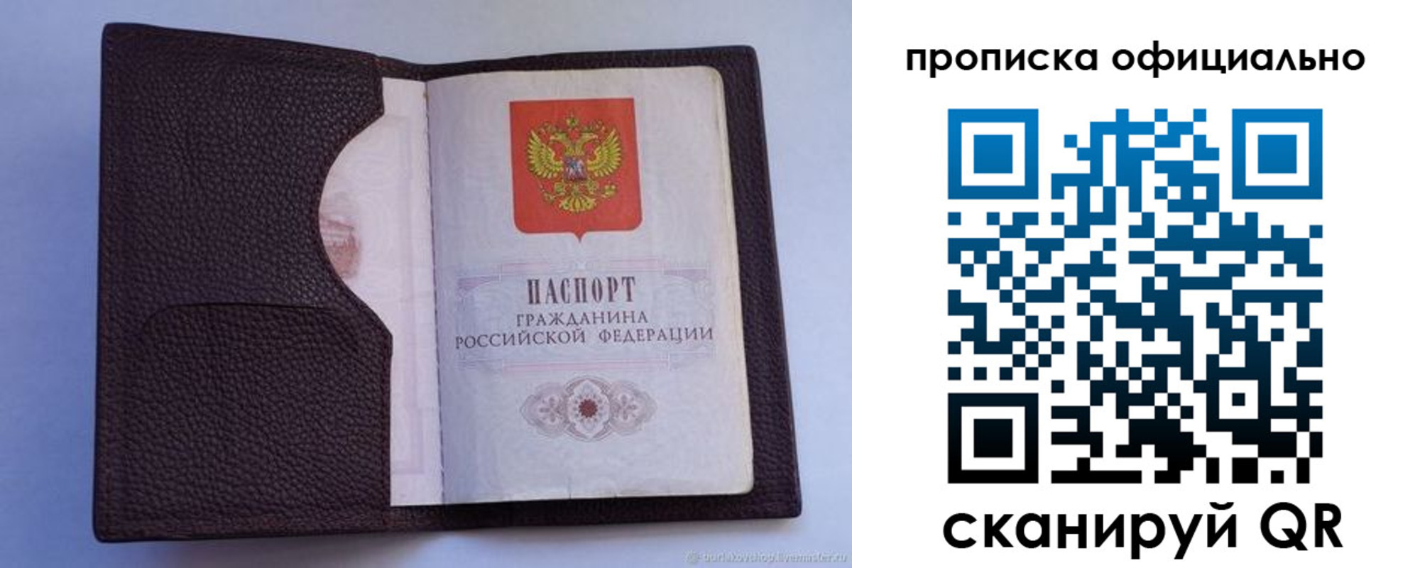 купить прописку в Сафоново